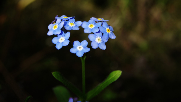 Je afscheidswensen vastleggen: tips